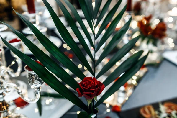 red rose on a background of green palm. blurred wedding table in the background