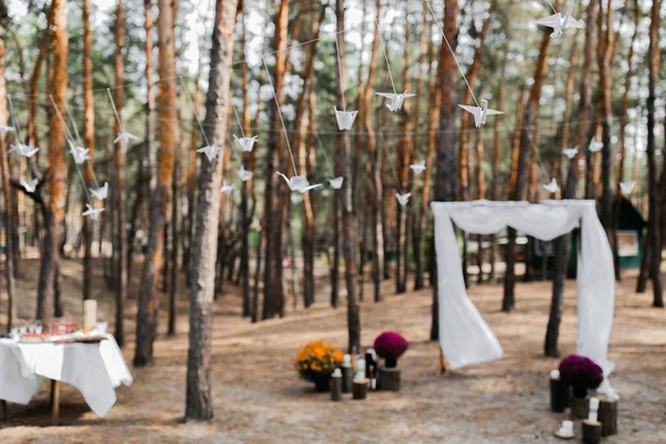 Papiervögel Auf Einem Seil Wald Hochzeitsfeier Unter Freiem Himmel — Stockfoto