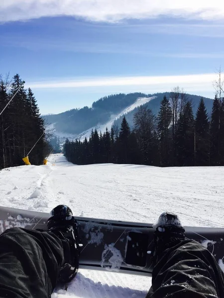 Snowboard Υψηλό Καρπάθιο Δάσος Χειμώνα Κάτω Όψη — Φωτογραφία Αρχείου