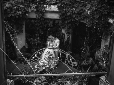 Botanik bahçesinde poz veren genç bir çift. Tropikal bitkilerle düğün fotoğrafı çekimi.