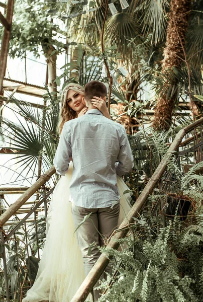 Jovem Casal Posando Jardim Botânico Sessão Fotos Casamento Com Plantas — Fotografia de Stock