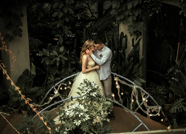 Jovem Casal Posando Jardim Botânico Sessão Fotos Casamento Com Plantas — Fotografia de Stock