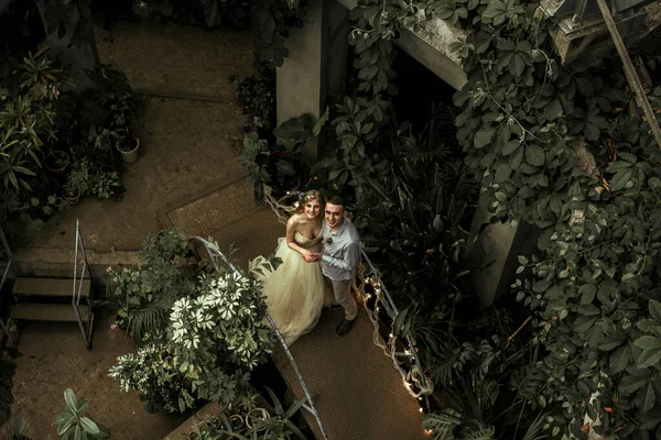 Junges Paar Posiert Einem Botanischen Garten Hochzeitsfotosession Mit Tropischen Pflanzen — Stockfoto