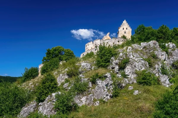 Zřícenina Hradu Topoľčany Starý Hrad Slovensku Starobylá Pevnost Věž Troskách — Stock fotografie