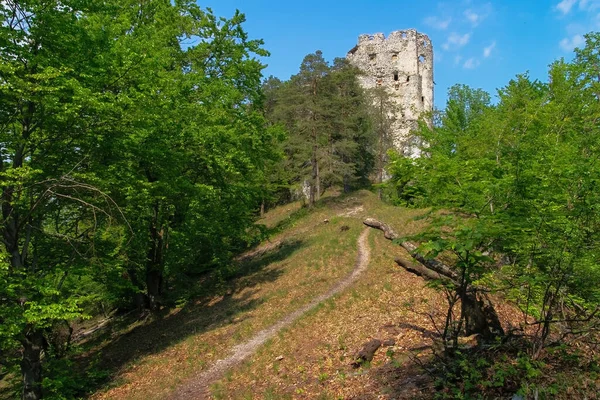 Ortaçağ Şatosu Uhrovec Kalıntıları Slovakya Seferi Stok Fotoğraf