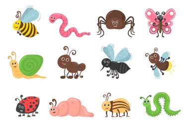 Karakter böcek solucanı.