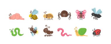 Karakter böcek solucanı.