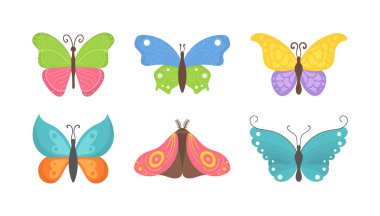 Yaz böcekleri kelebek. 