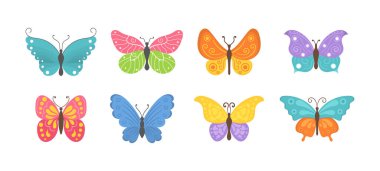 Yaz böcekleri kelebek. 