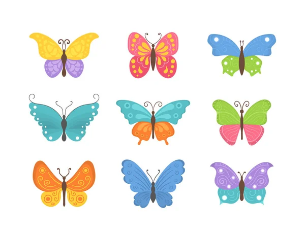 Летние насекомые-бабочки. — стоковый вектор