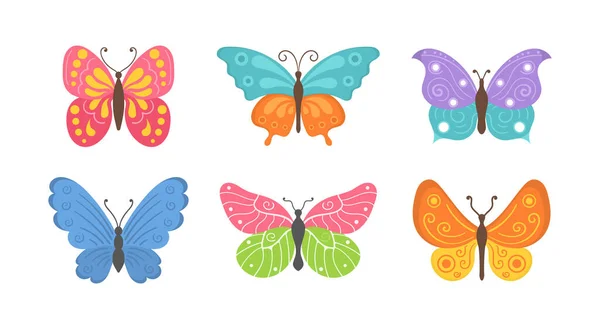 Insectos de verano mariposa. — Vector de stock