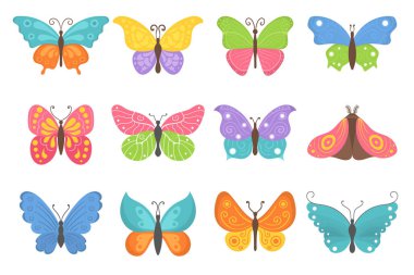 Yaz böcekleri kelebek. 