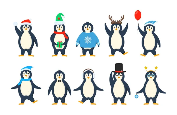 Set pinguïns. — Stockvector