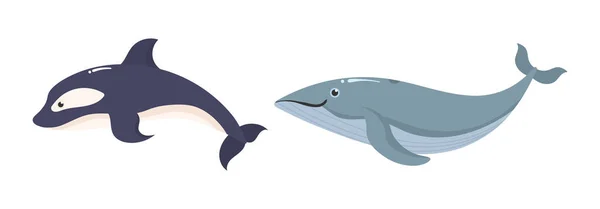 Océan, animaux marins. — Image vectorielle