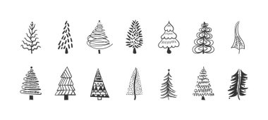 Noel ağacını ayarla.