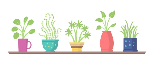 Ophangende planten. — Stockvector