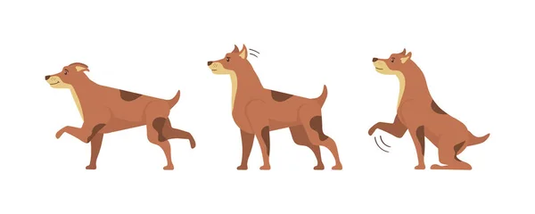 Perros carácter entrenamiento. — Vector de stock