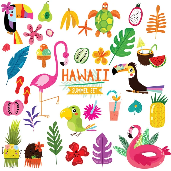 Hawaii Sembolleri Öğeleri Meyve Tukan Flamingo Dondurma Tropikal Yaprak Yaz — Stok Vektör