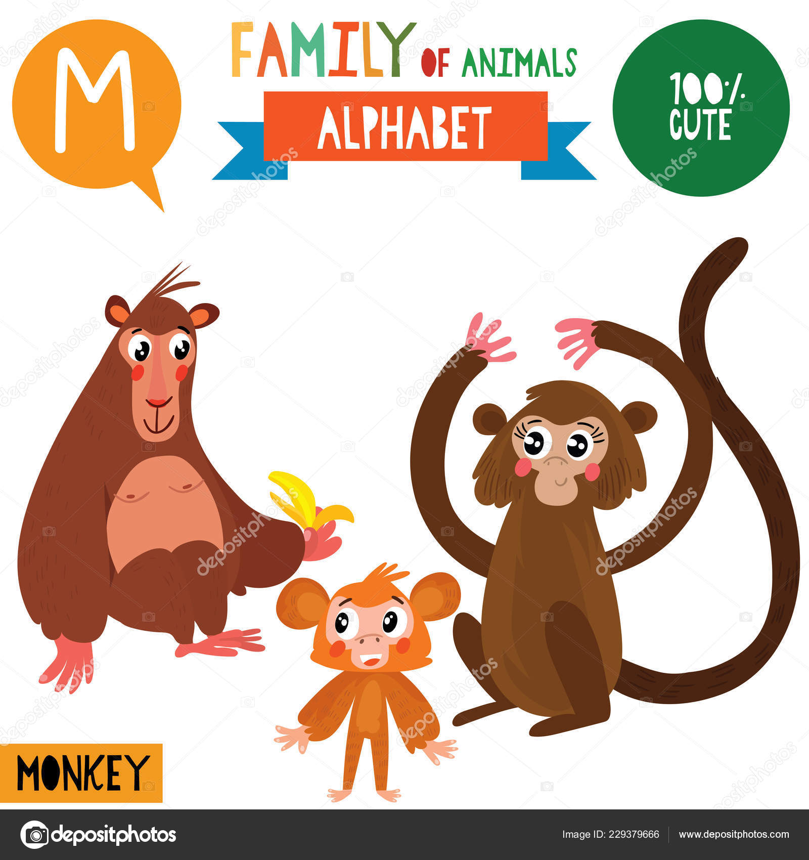 Cartoon Style Alphabet Banner Family Monkey Animals Letter Vector Illustration Stock Vector Image by ©ovocheva #229379666 Cartoon Style Alphabet Banner Family Monkey Animals Letter Vector Illustration Stock Vector Image by ©ovocheva #229379666