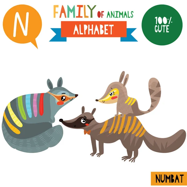 Cartoon Style Alphabet Banner Family Numbat Animals Letter Vector Illustration — Stock Vector