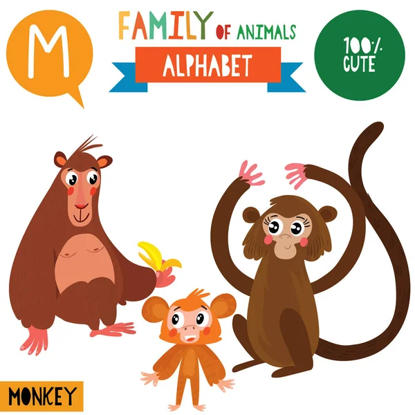 卡通风格的字母表横幅与家庭猴子动物和 向量例证 — 图库矢量图片