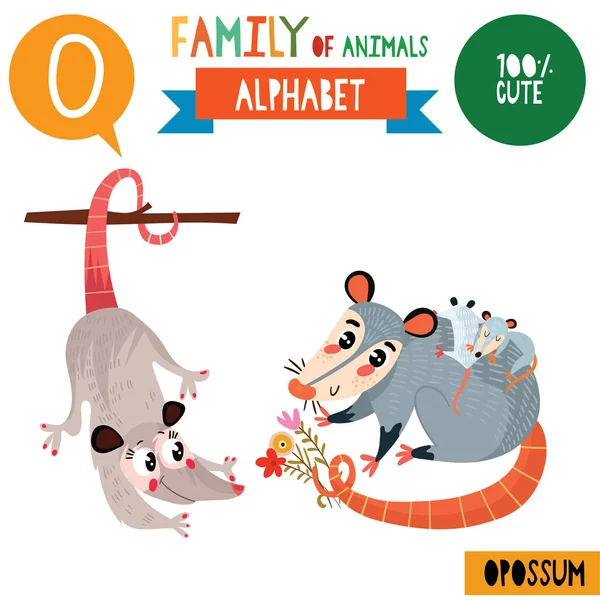 Tecknad Stil Alfabetet Banner Med Familj Opossum Djur Och Brev — Stock vektor