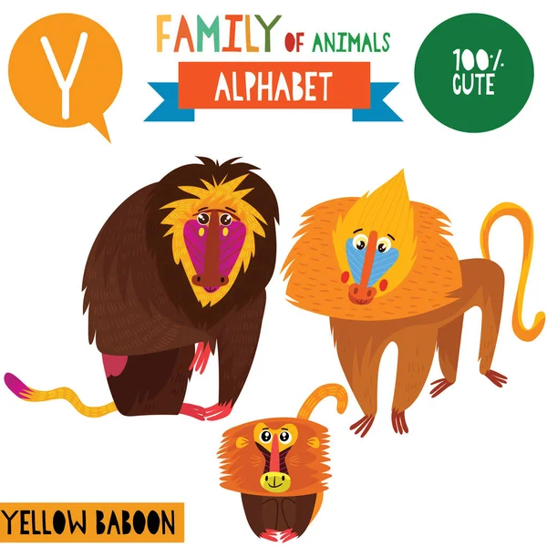 Cartoon Stijl Alfabet Banner Met Familie Van Gele Baviaan Dieren — Stockvector