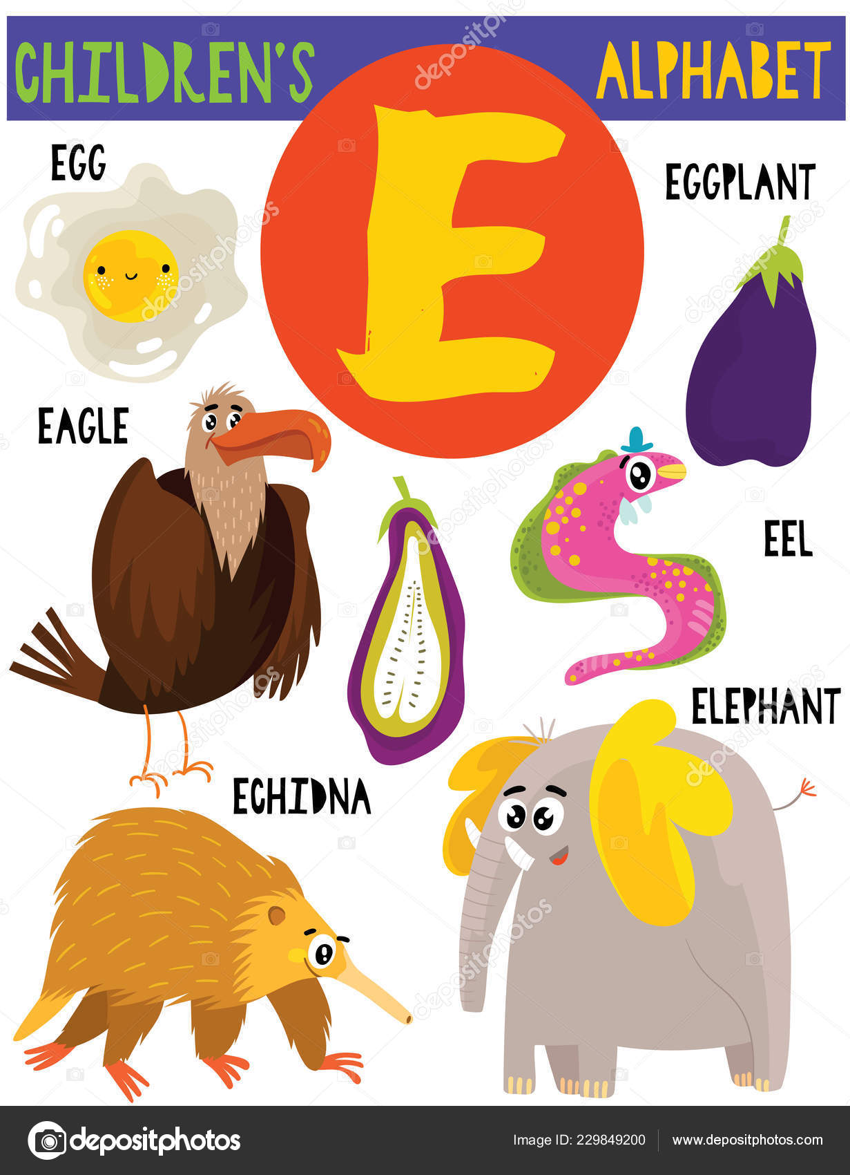 Animals That Start With The Letter E - Bilscreen