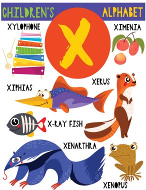 Sevimli hayvanlar ve diğer şeyler ile X.Cute çocuk alfabesi harfi. Poster çocuklar İngilizce kelime öğrenme için. Çizgi film vektör çizim.