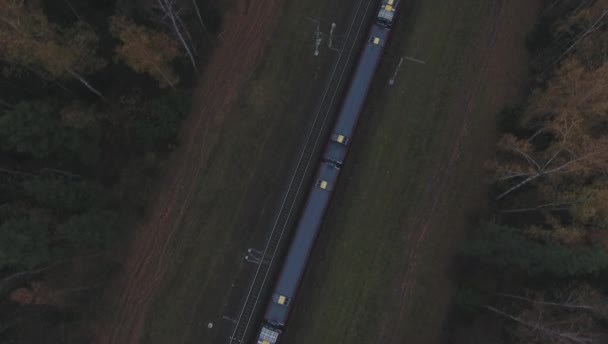Aerial view. beautiful , new train passes through the autumn forest. — Stock Video