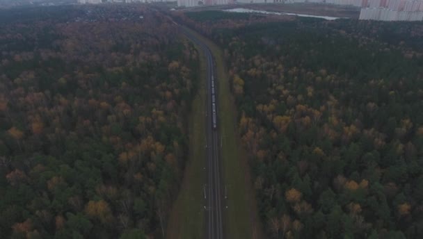 Vlak projíždí lesem směrem k městu. letecký pohled. Mlha nebo mlha. — Stock video