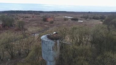 Beyaz leylekler metal su kulesine yuva yaptılar ve yumurtaları koruyorlar.,