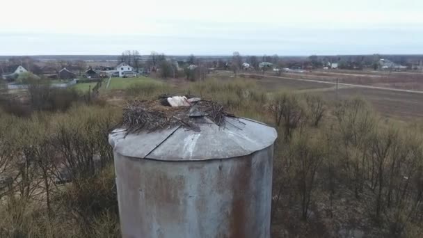 White storks made a nest on the metal water tower and is guarding eggs, — Stock Video
