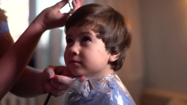 Little boy using scissors at home, portrait plan. 4K. Live camera — Stock Video
