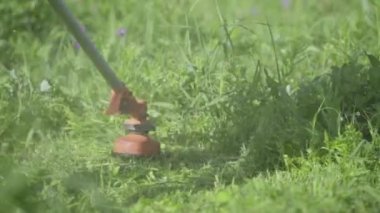 Çim biçme makineli adam bahçesindeki çimleri kesiyor. Ağır çekim. seçici odak