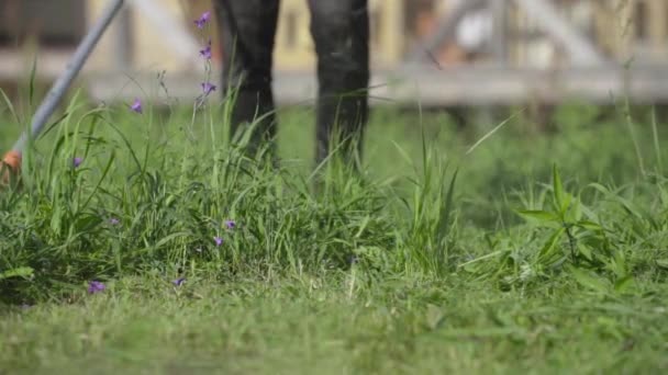 The man with the mower cuts the grass in his yard. slow motion. selective focus — Stock Video