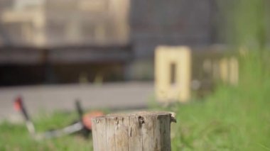 Erkek el baltayı kütüğe saplar. Yavaş çekim.