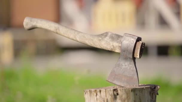 Male hand takes the axe stuck in the stump. — Stock Video
