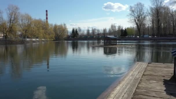 Schwäne verlassen ihr Haus auf einem Floß zum Stadtweiher — Stockvideo