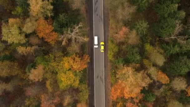 Gialla corsa in taxi lungo una stretta strada nella foresta autunnale. vista aerea — Video Stock