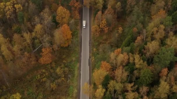 Los coches conducen a lo largo de una estrecha carretera de asfalto en un denso bosque de otoño. vista aérea — Vídeos de Stock