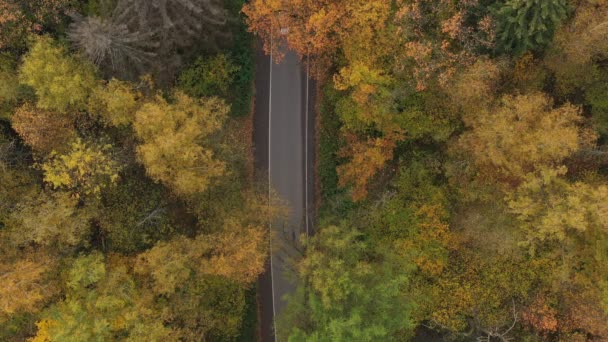 Escoltando el coche desde el aire en la carretera en el bosque de otoño — Vídeos de Stock