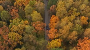 Sonbahar ormanlarında yoldaki siyah arabaya eşlik ediyorum.