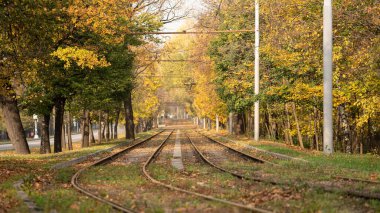 Sonbaharda egzotik bir yerde terk edilmiş tramvay demiryolu.