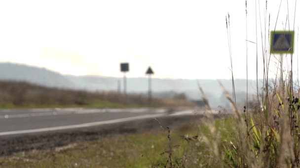 Orejas de hierba en el fondo de los coches que pasan en una carretera de campo — Vídeos de Stock