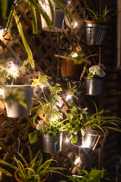 Giardino Verticale Con Luci Fiabesche Città Durante Notte Foto Archivio — Foto Stock