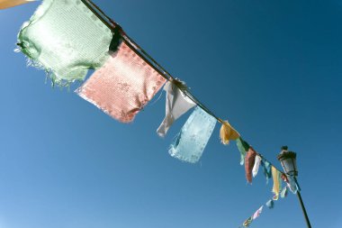 Tibet ve Budist, dua eden domuzlardır. Barcelona 'da bir Tibet tapınağında dua bayrağı, Garraf' ta.