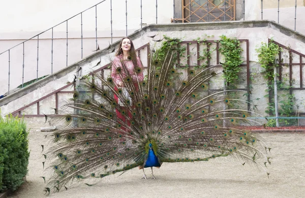 Woman looks at a peacock with her tail spread — Stock Photo, Image