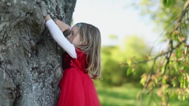 SLOW MOTION Happy cute bionda bambina in abito rosso toccare l'albero — Video Stock