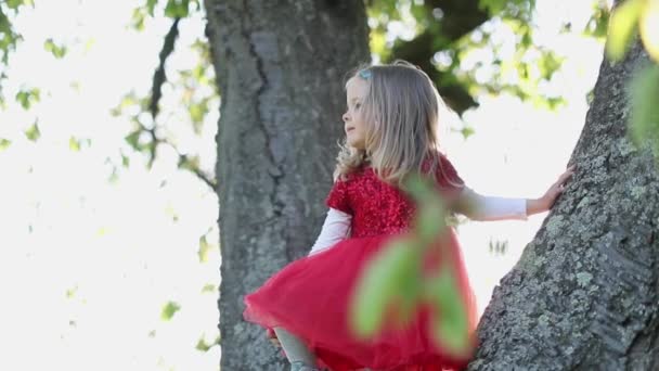 SLOW MOTION Happy cute bionda bambina in abito rosso toccare l'albero — Video Stock